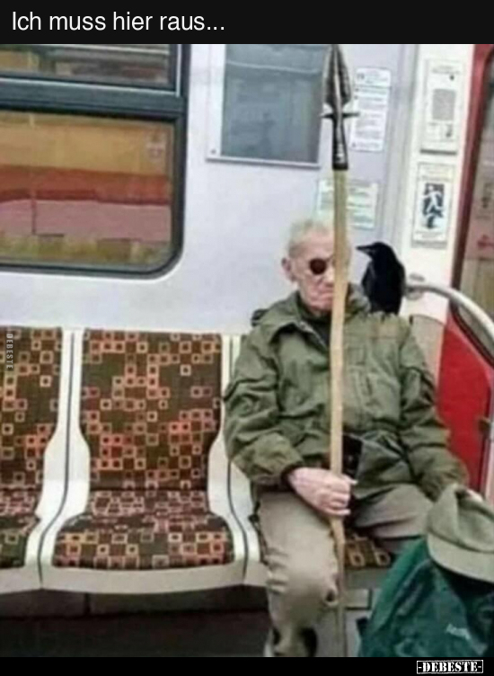 Ich muss hier raus...