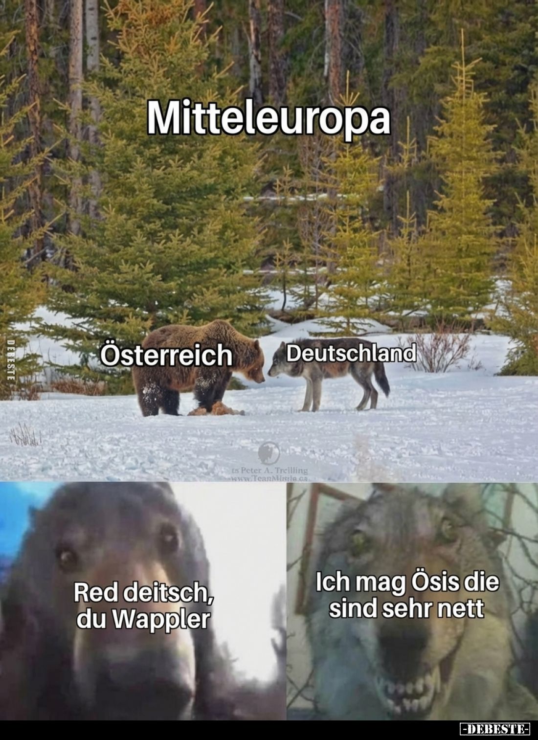  - Lustige Bilder | DEBESTE.de