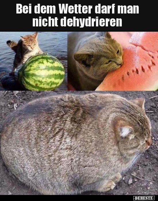 Bei dem Wetter darf man nicht dehydrieren..
