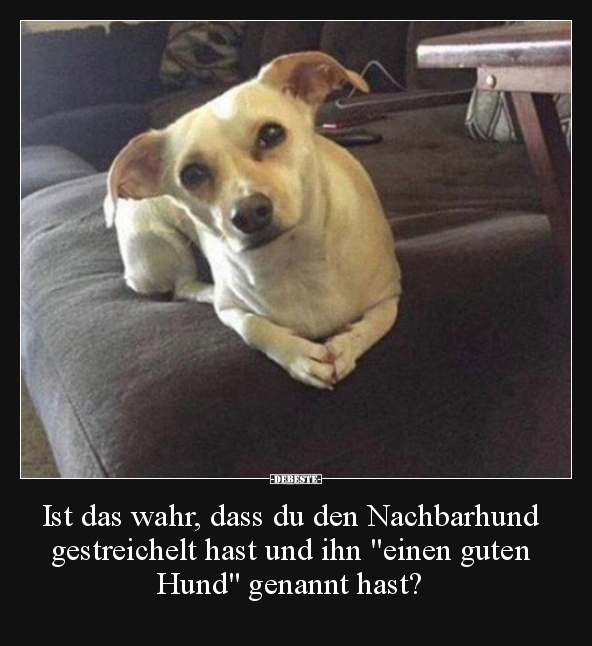Ist das wahr, dass du den Nachbarhund gestreichelt hast..