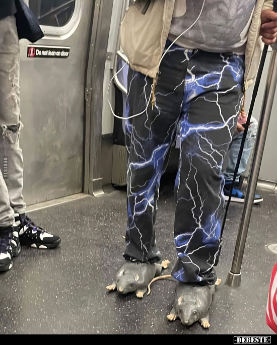  - Lustige Bilder | DEBESTE.de