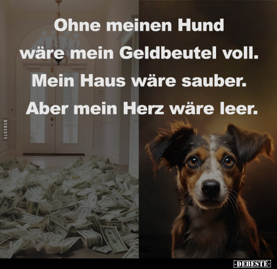 Ohne meinen Hund wäre mein Geldbeutel voll.. - Lustige Bilder | DEBESTE.de