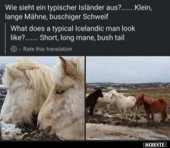 Wie sieht ein typischer Isländer aus?.....Klein, lange.. - Lustige Bilder | DEBESTE.de