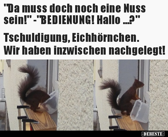 "Da muss doch noch eine Nuss sein!" -"BEDIENUNG! Hallo.." - Lustige Bilder | DEBESTE.de