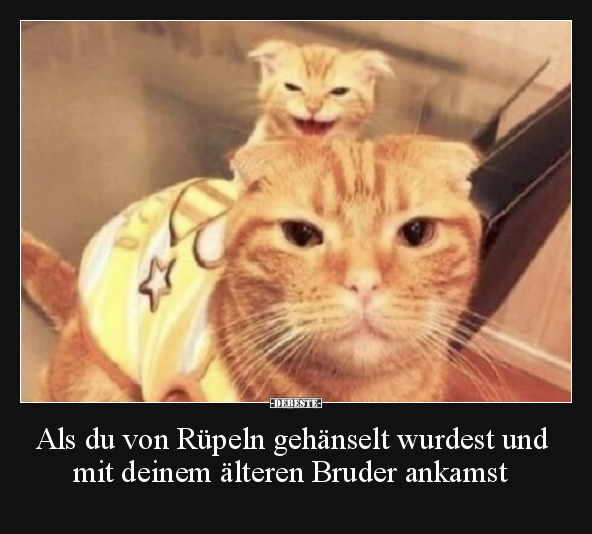 Als du von Rüpeln gehänselt wurdest und mit deinem älteren.. - Lustige Bilder | DEBESTE.de