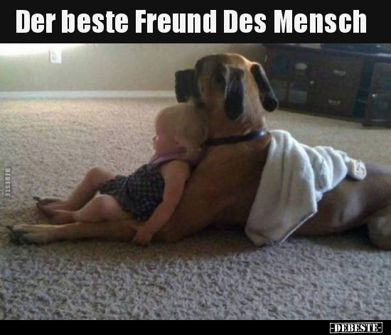 Der beste Freund Des Mensch.. - Lustige Bilder | DEBESTE.de