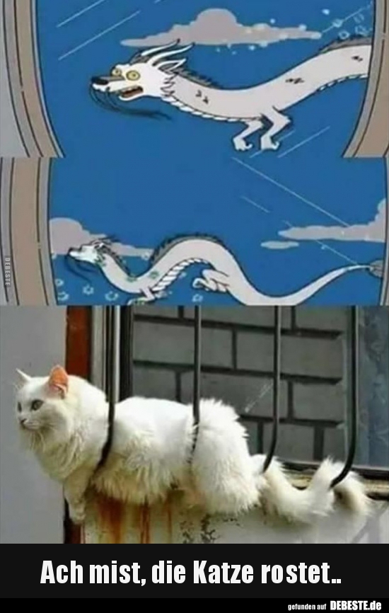 Ach mist, die Katze rostet..