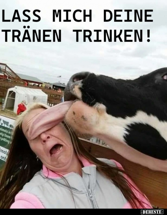 Lass mich deine Tränen trinken...