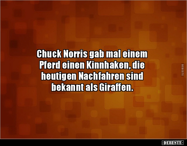 Chuck Norris gab mal einem Pferd einen Kinnhaken, die.. - Lustige Bilder | DEBESTE.de