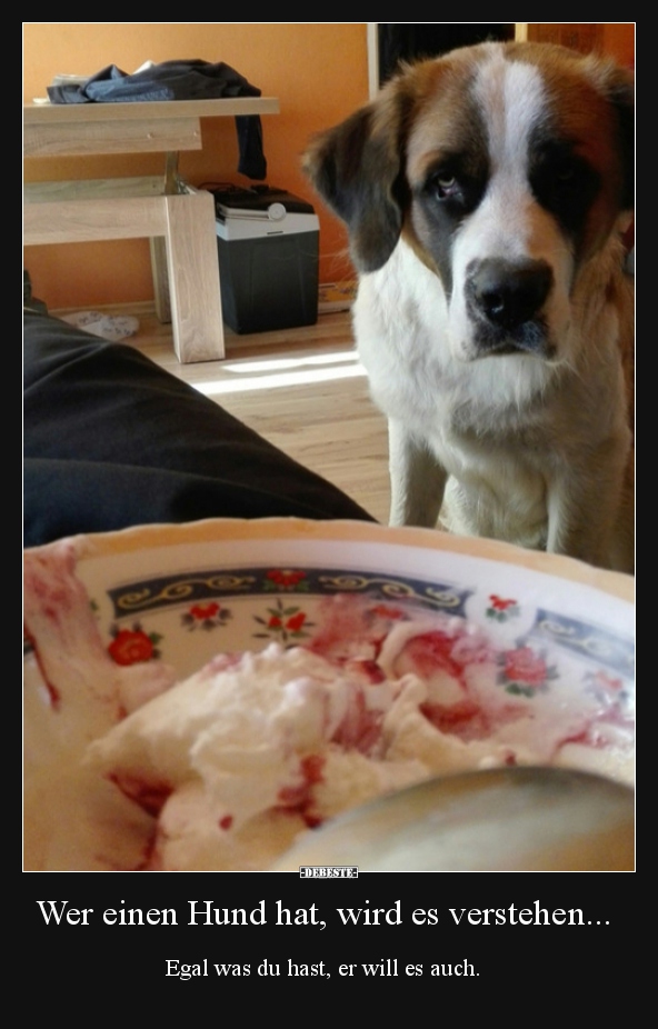 Wer einen Hund hat, wird es verstehen...