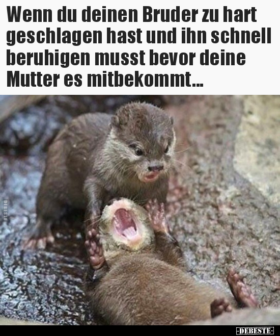 Wenn du deinen Bruder zu hart geschlagen hast und ihn.. - Lustige Bilder | DEBESTE.de