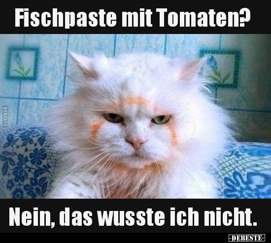 Fischpaste mit Tomaten? Nein, das wusste ich nicht... - Lustige Bilder | DEBESTE.de