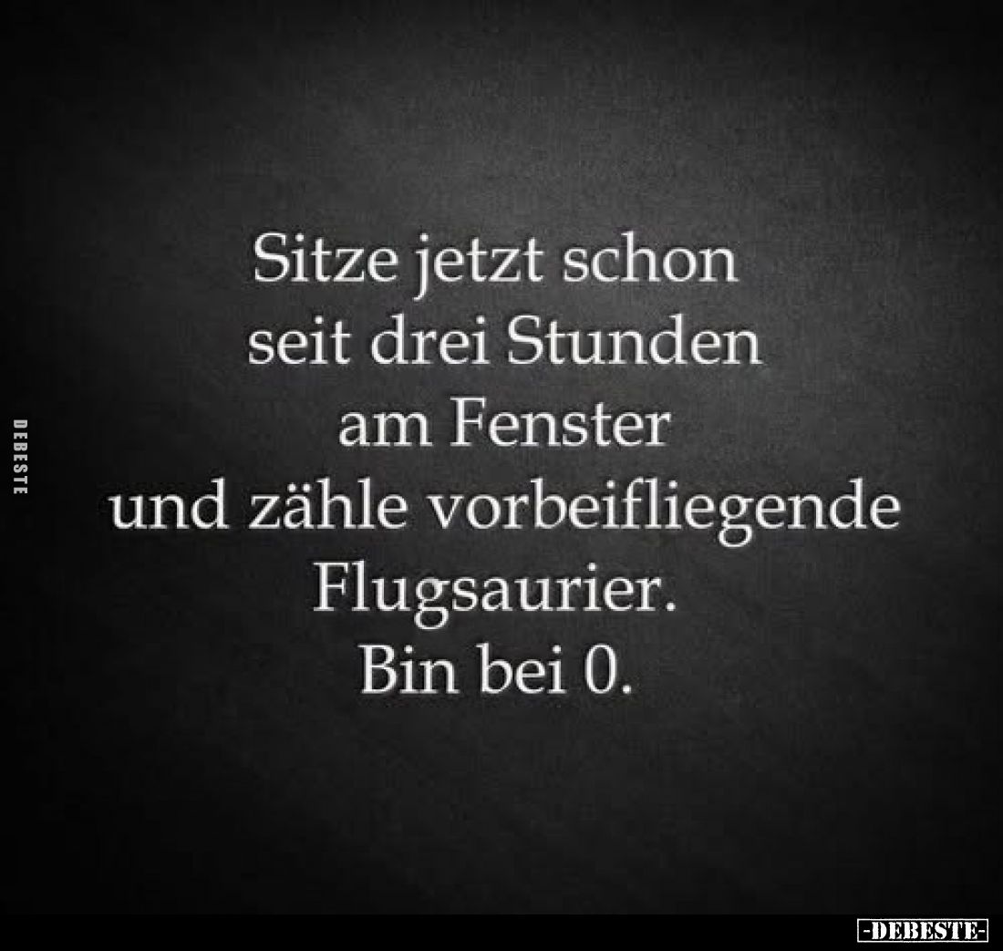 Sitze jetzt schon seit drei Stunden am Fenster und zähle vorbeifliegende Flugsaurier. Bin bei 0.