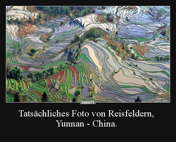 Tatsächliches Foto von Reisfeldern, Yunnan - China...