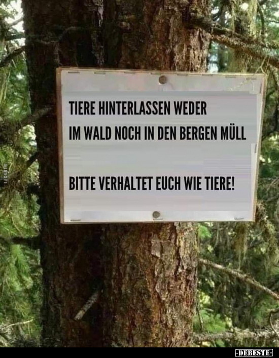 Tiere hinterlassen weder im Wald noch in den Bergen.. - Lustige Bilder | DEBESTE.de