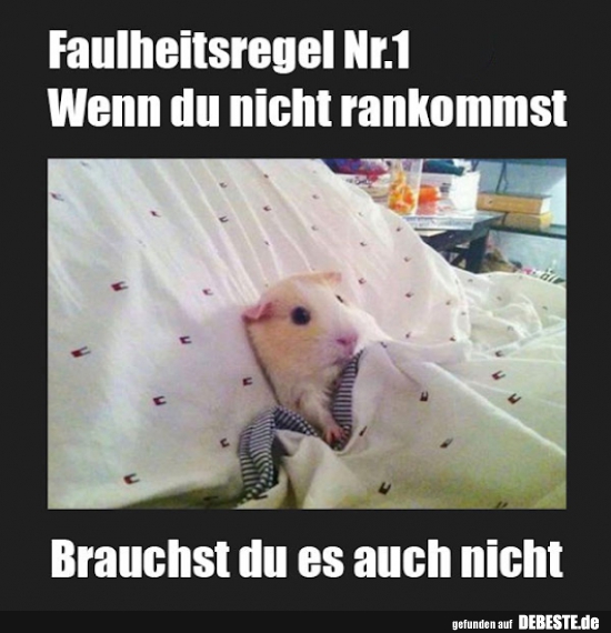 Faulheitsregel Nr. 1..