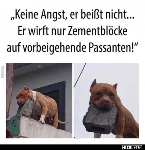 "Keine Angst, er beißt nicht... Er wirft nur Zementblöcke.." - Lustige Bilder | DEBESTE.de