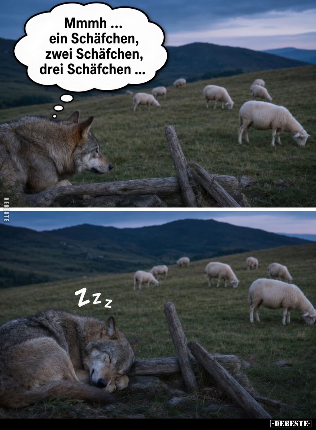 Mmmh... ein Schäfchen, zwei Schäfchen, drei Schäfchen...