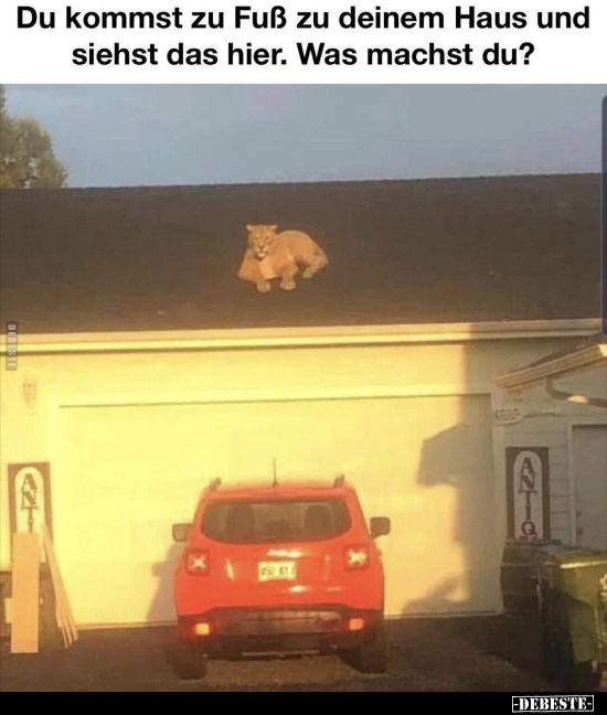 Du kommst zu Fuß zu deinem Haus und siehst das hier. Was machst du?