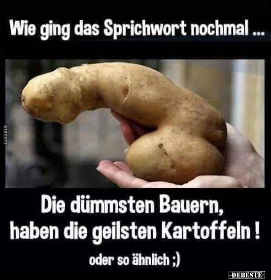 Wie ging das Sprichwort nochmal... - Lustige Bilder | DEBESTE.de