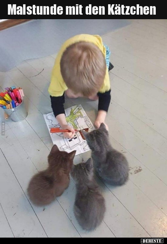 Malstunde mit den Kätzchen..