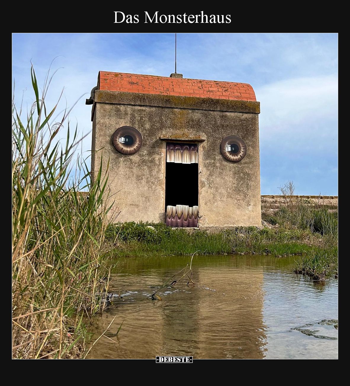 Das Monsterhaus