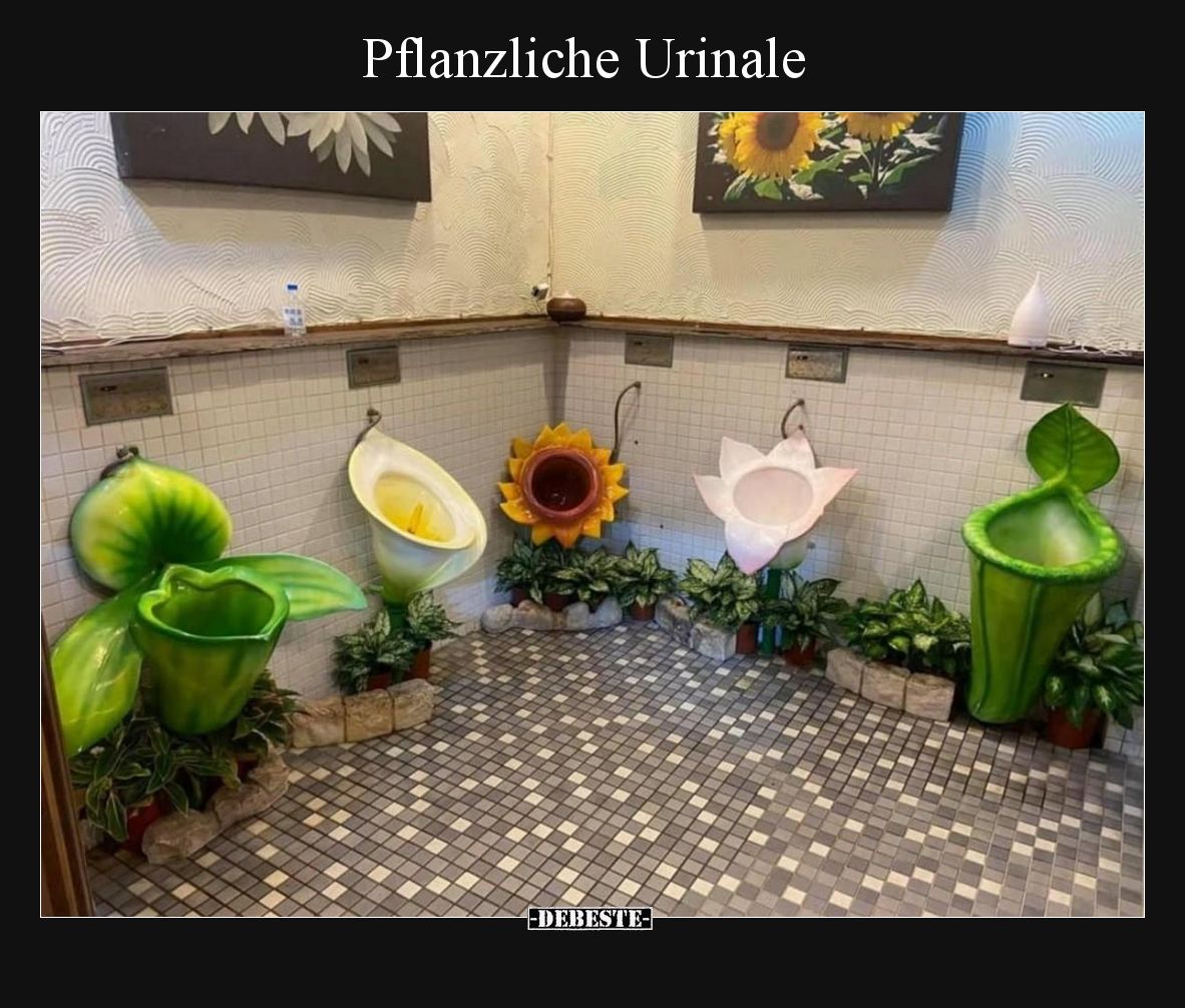 Pflanzliche Urinale
