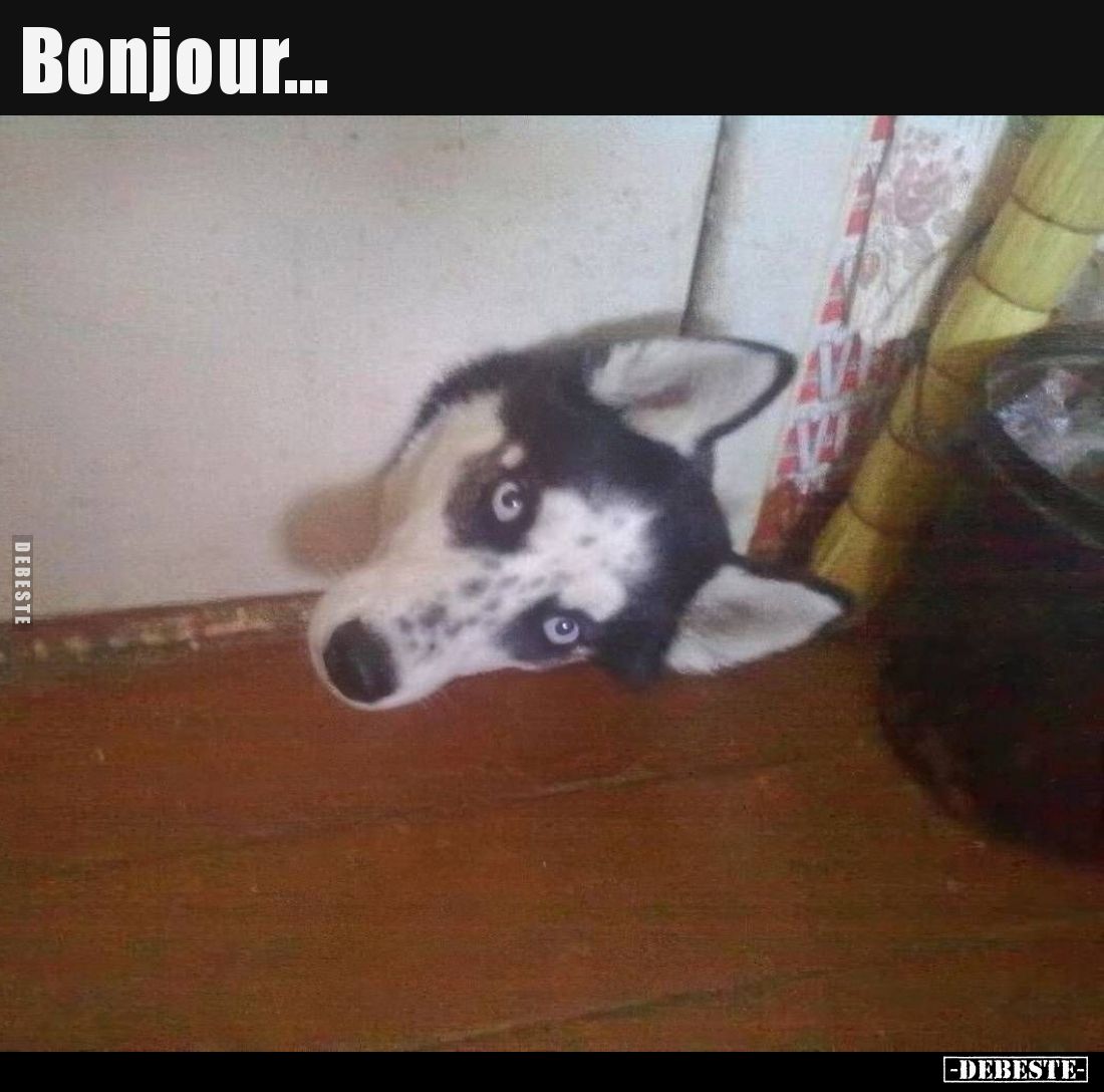 Bonjour...