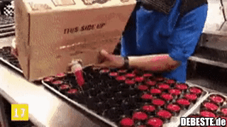 Endlich mal mit Profis..