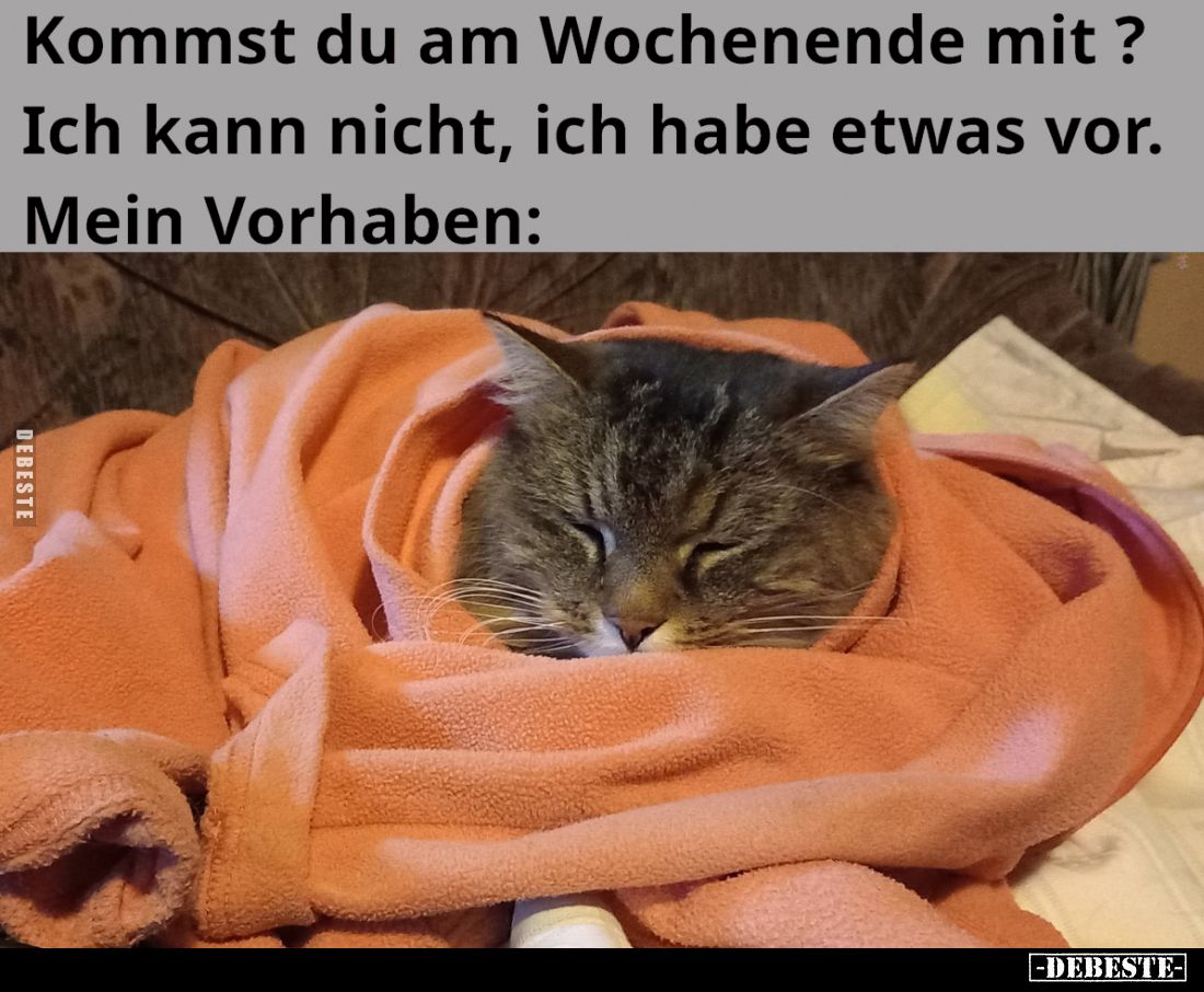 Kommst du am Wochenende mit?
Ich kann nicht, ich habe etwas vor.