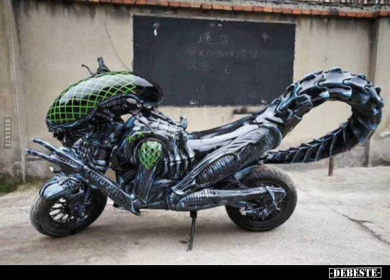  - Lustige Bilder | DEBESTE.de