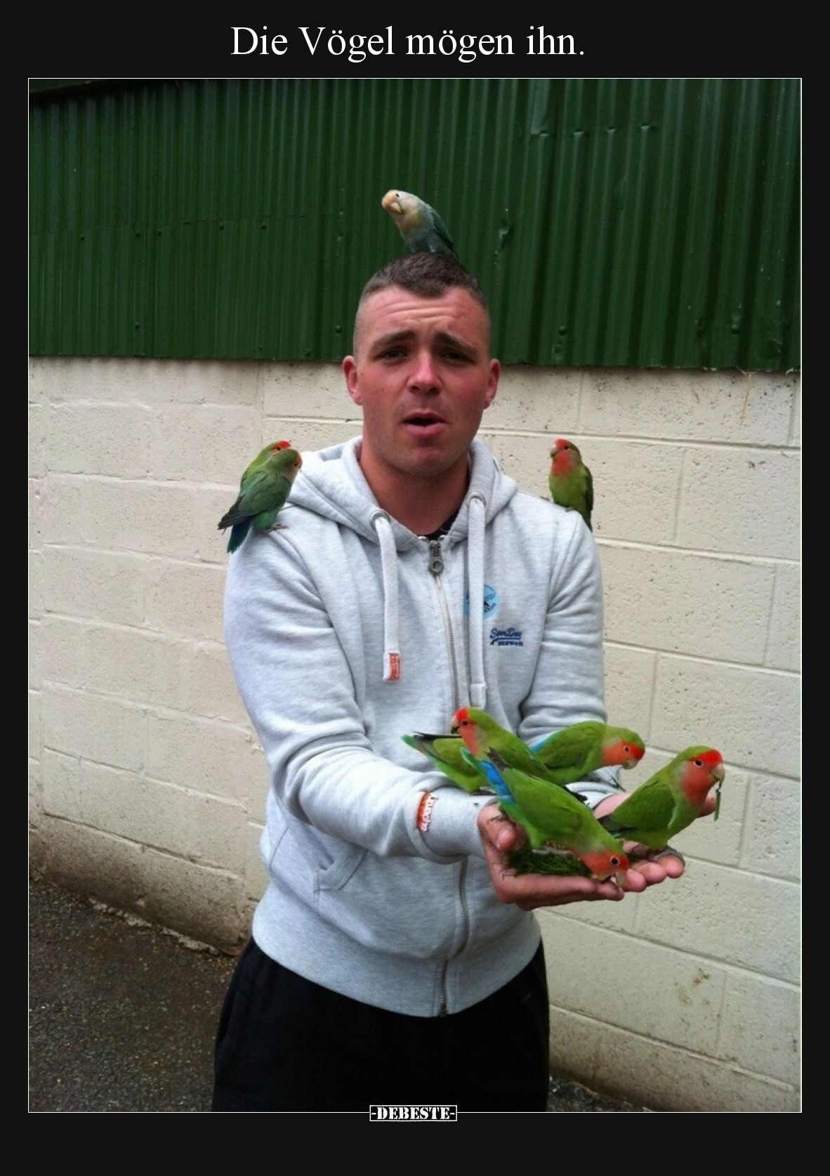 Die Vögel mögen ihn.