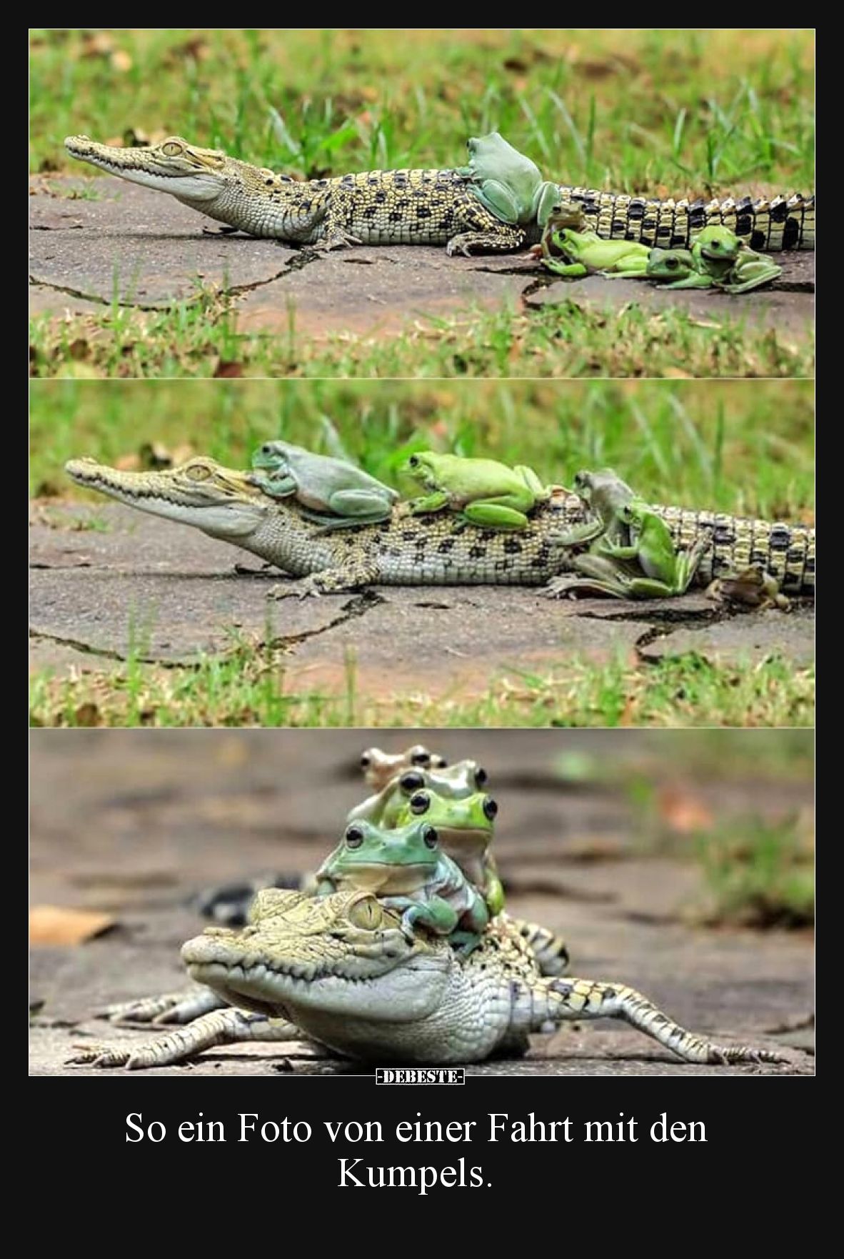 So ein Foto von einer Fahrt mit den Kumpels.