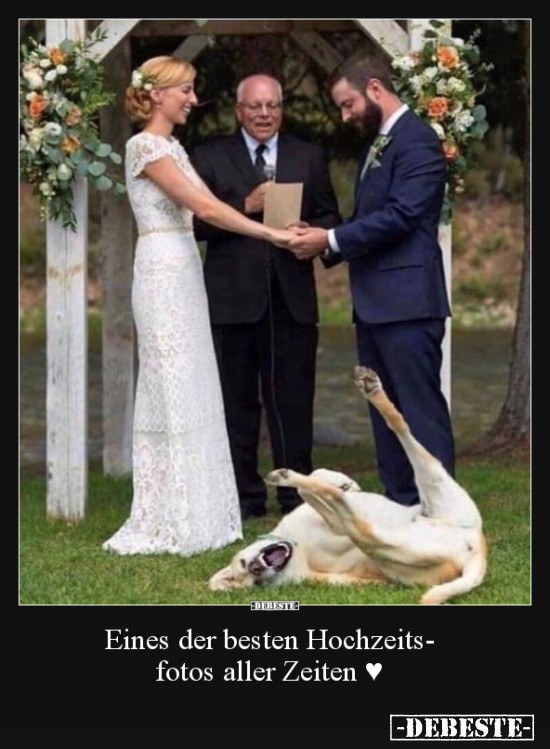  - Lustige Bilder | DEBESTE.de