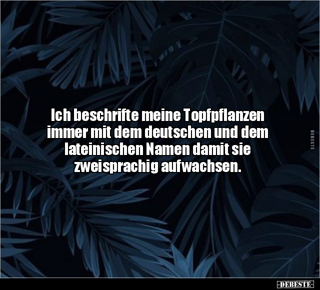 Ich beschrifte meine Topfpflanzen immer mit dem deutschen.. - Lustige Bilder | DEBESTE.de