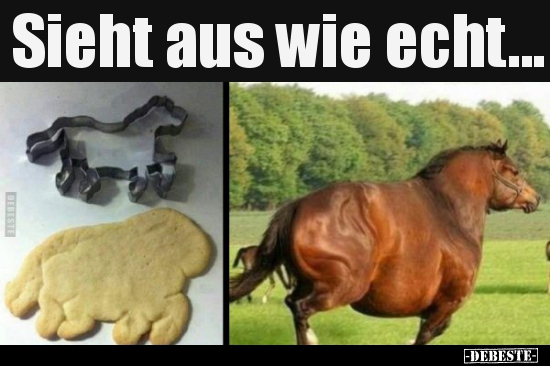 Sieht aus wie echt...