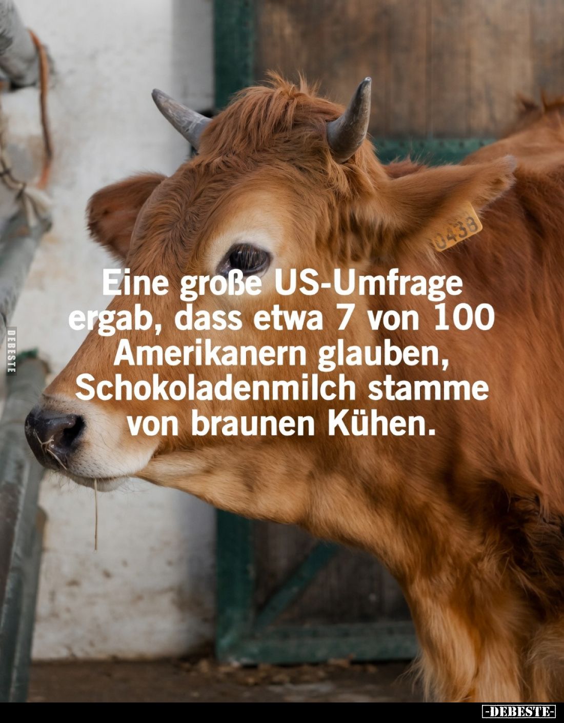 Eine große US-Umfrage ergab, dass etwa 7 von 100.. - Lustige Bilder | DEBESTE.de