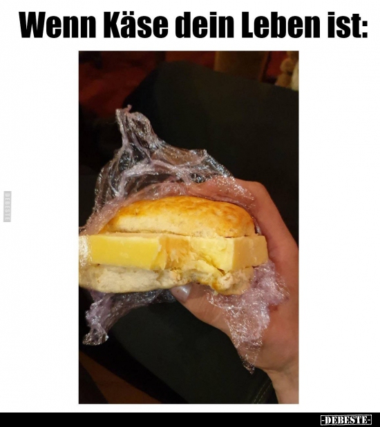 Wenn Käse dein Leben ist.. - Lustige Bilder | DEBESTE.de