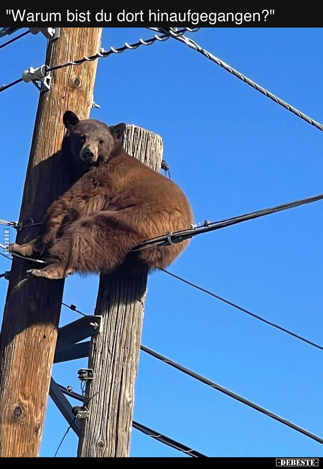 Warum bist du dort hinaufgegangen?