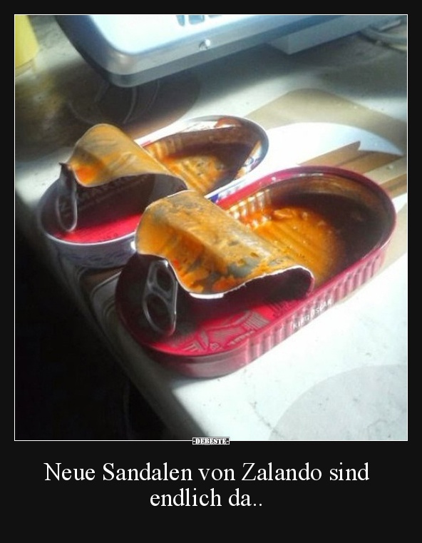 Neue Sandalen von Zalando sind endlich da.. - Lustige Bilder | DEBESTE.de