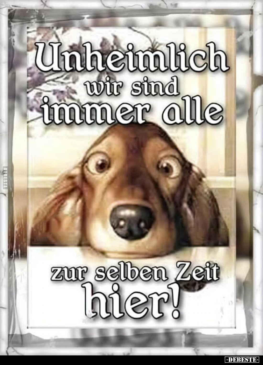 Unheimlich wir sind immer alle zur selben Zeit hier!.. - Lustige Bilder | DEBESTE.de