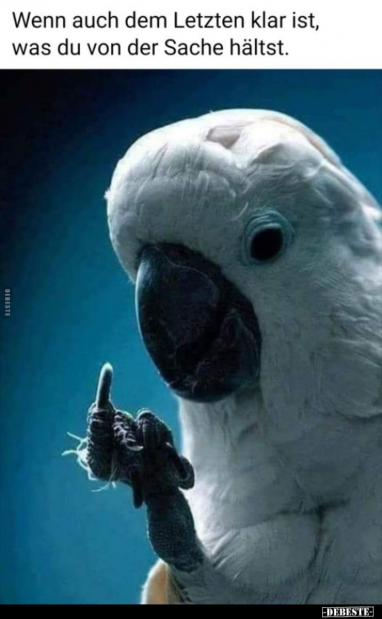 Wenn auch dem Letzten klar ist, was du von der Sache hältst.