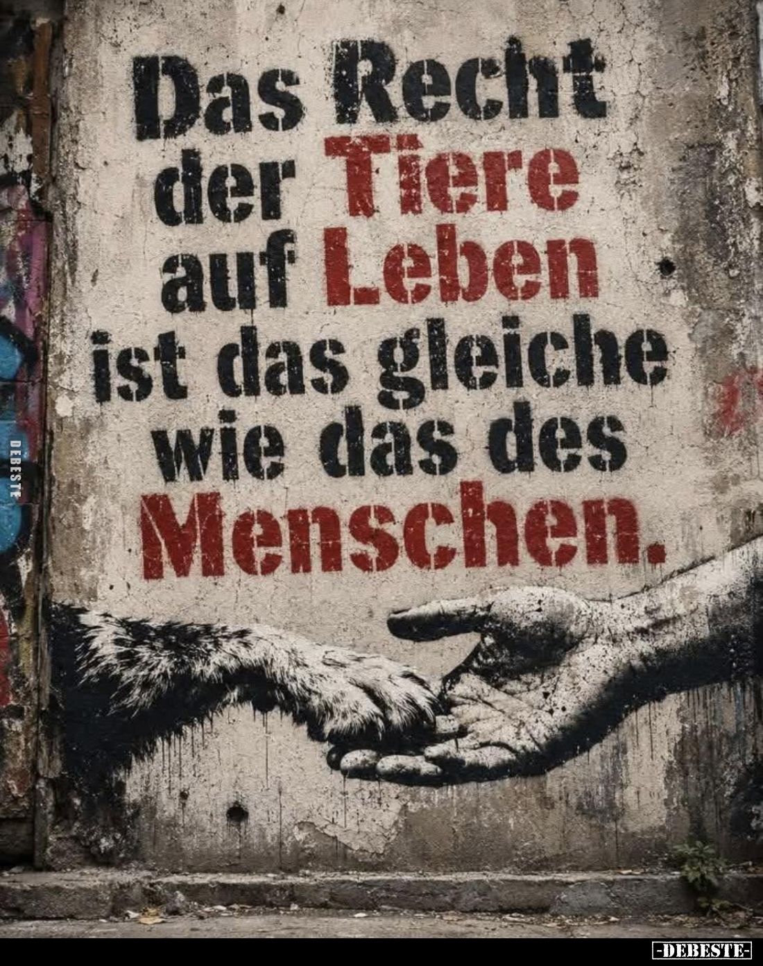 Das Recht der Tiere auf Leben ist das gleiche wie das des Menschen.
