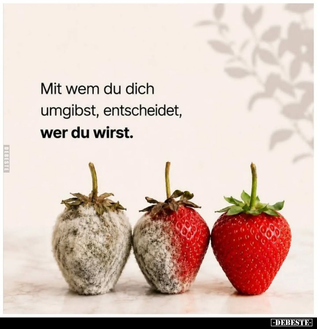 Mit wem du dich umgibst, entscheidet, wer du wirst.