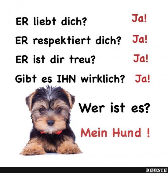 Er liebt dich? Ja!