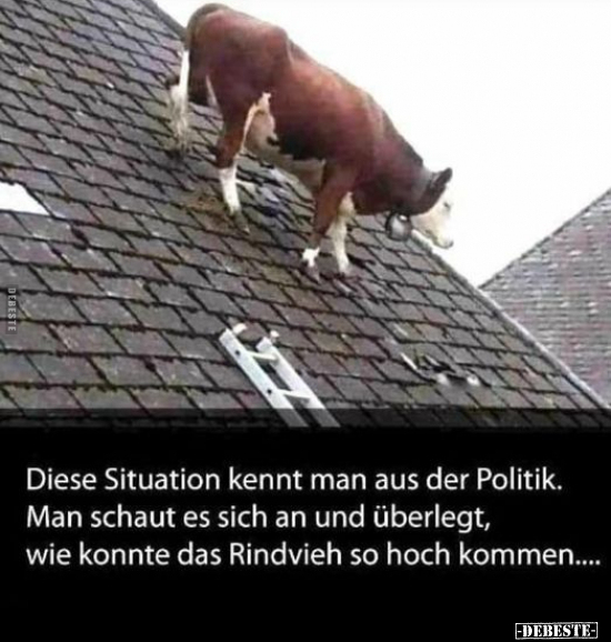 Diese Situation kennt man aus der Politik. Man schaut es.. - Lustige Bilder | DEBESTE.de