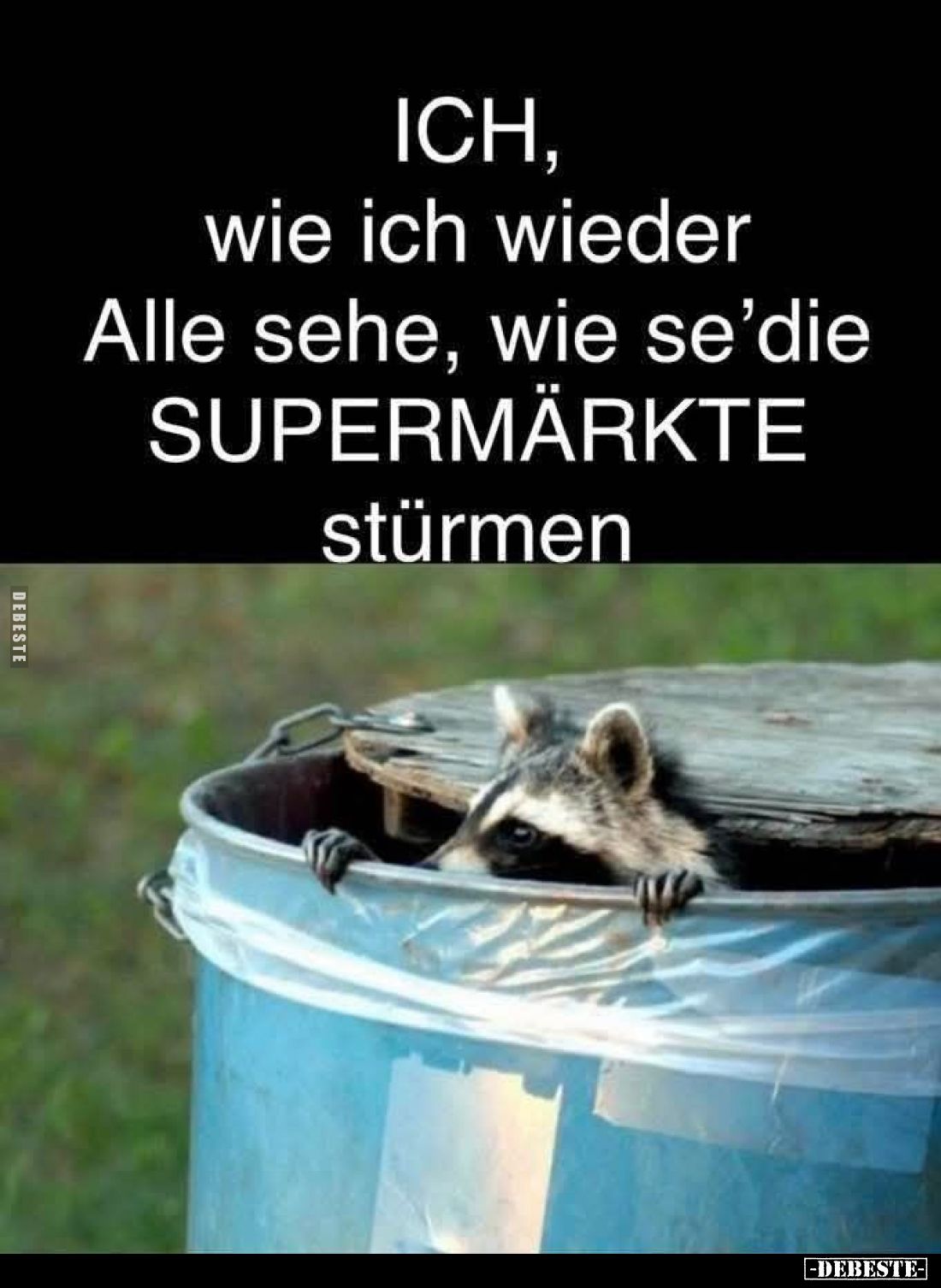 Ich, wie ich wieder alle sehe, wie se'die Supermärkte stürmen.