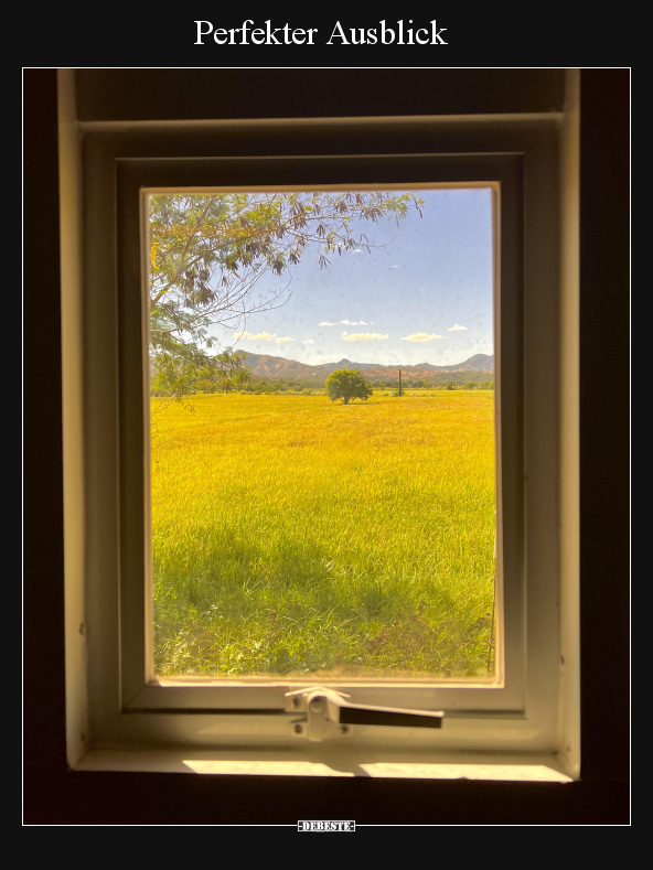 Perfekter Ausblick.. - Lustige Bilder | DEBESTE.de