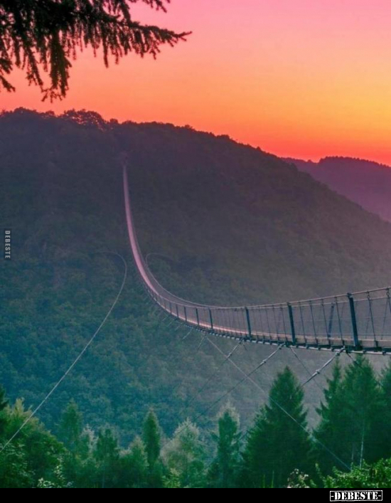  - Lustige Bilder | DEBESTE.de