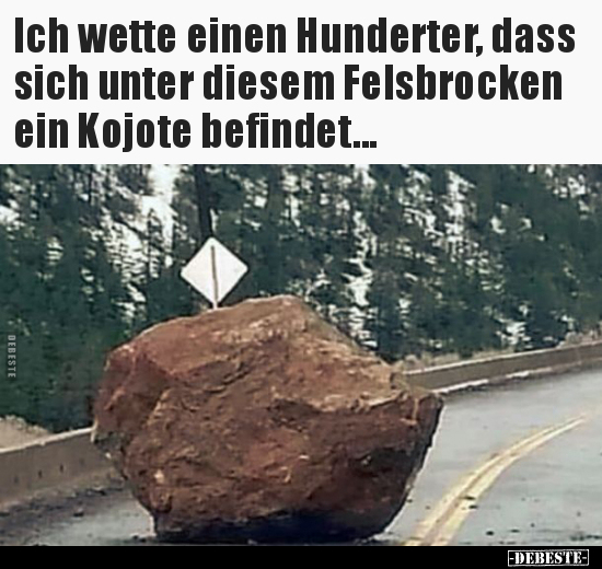 Ich wette einen Hunderter, dass sich unter diesem.. - Lustige Bilder | DEBESTE.de